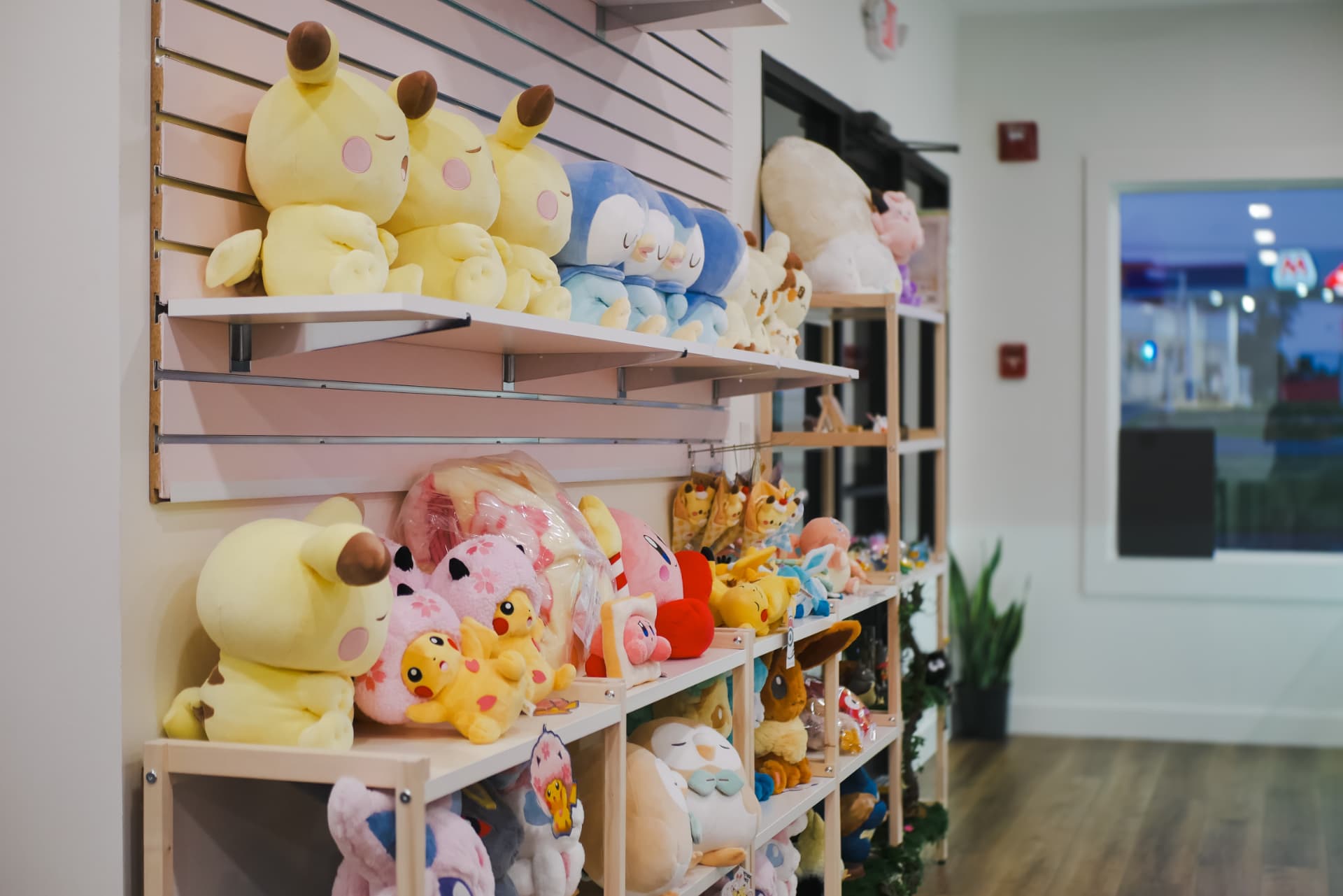 Shelves of plush collectibles lining the store wall